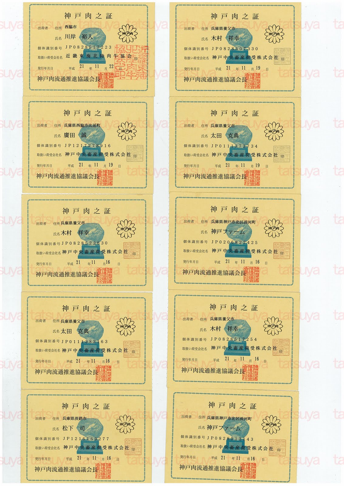 [LOT-09120801-#2.jpg]