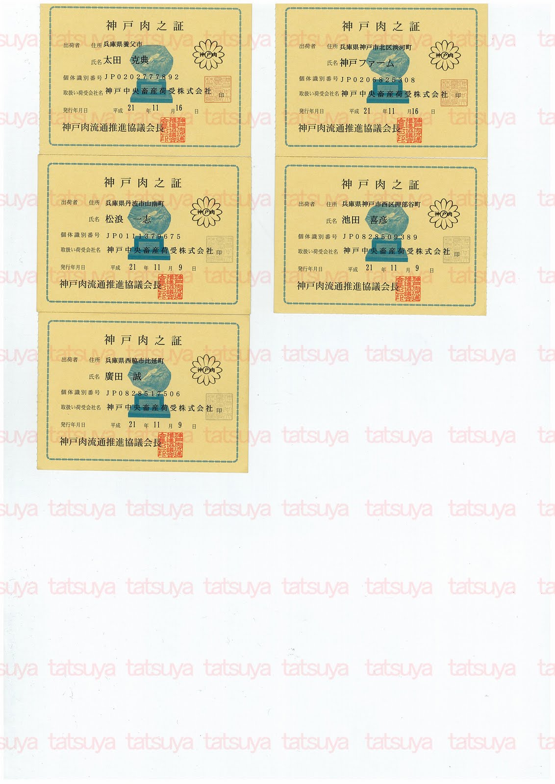 [LOT-09120801-#3.jpg]