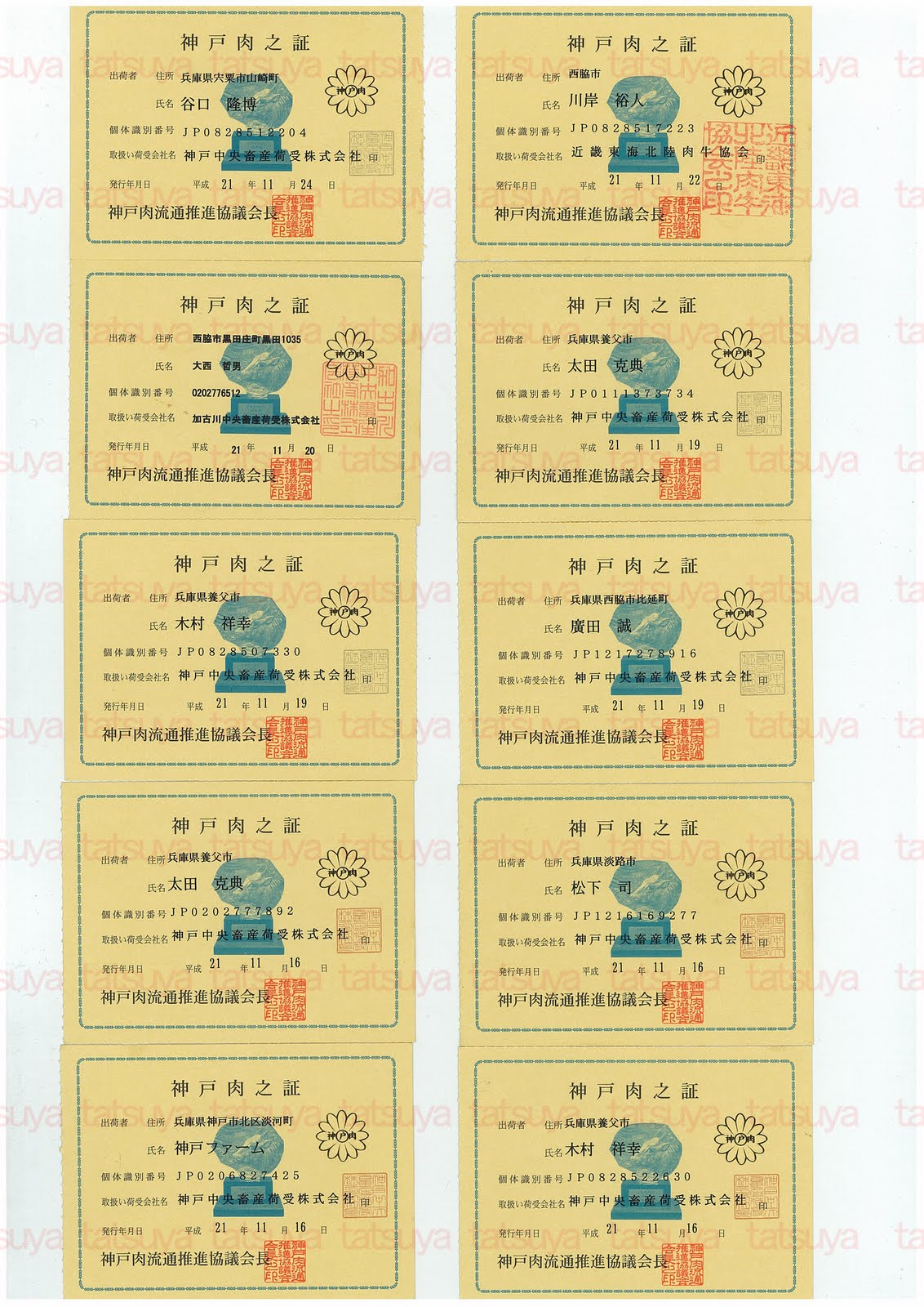 [LOT-09121101-#3.jpg]