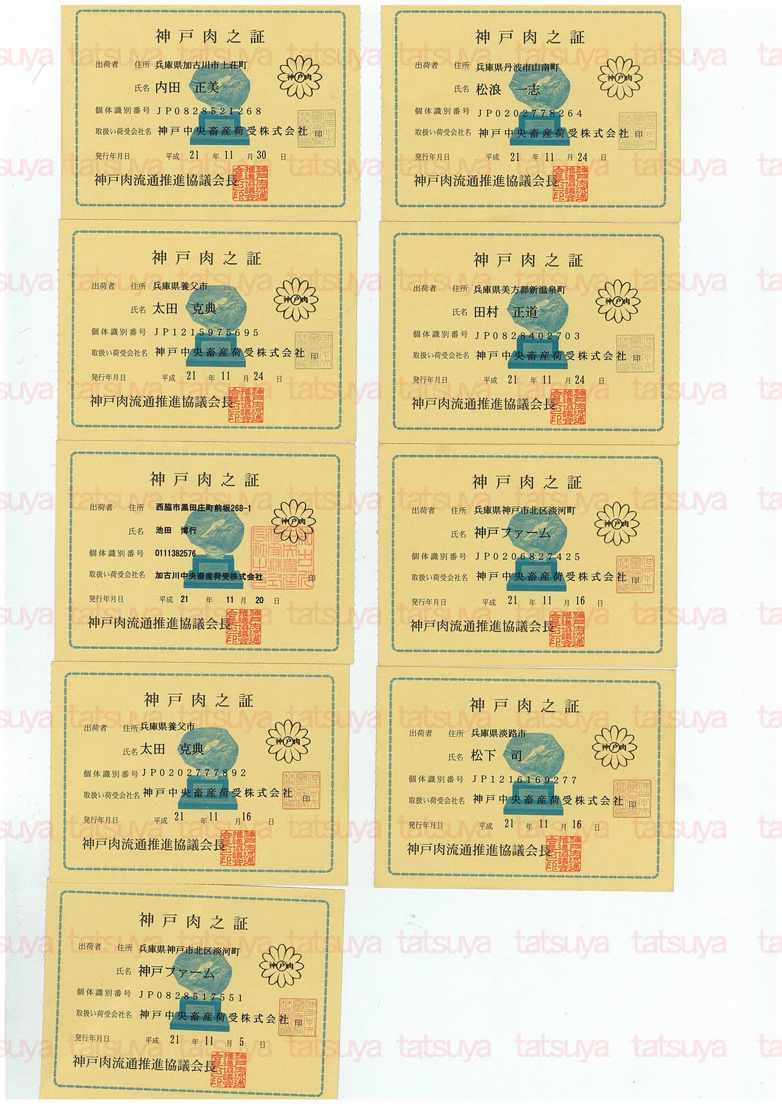 [LOT-09121701-#3.jpg]