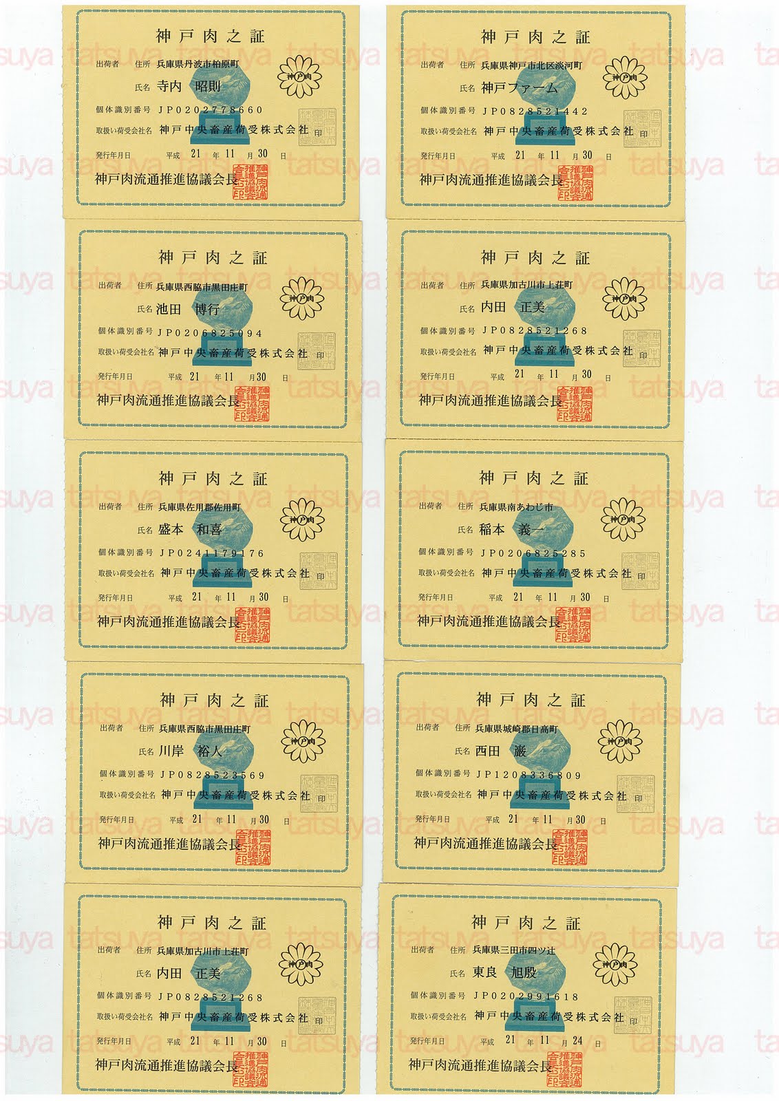 [LOT-09121801-#3.jpg]