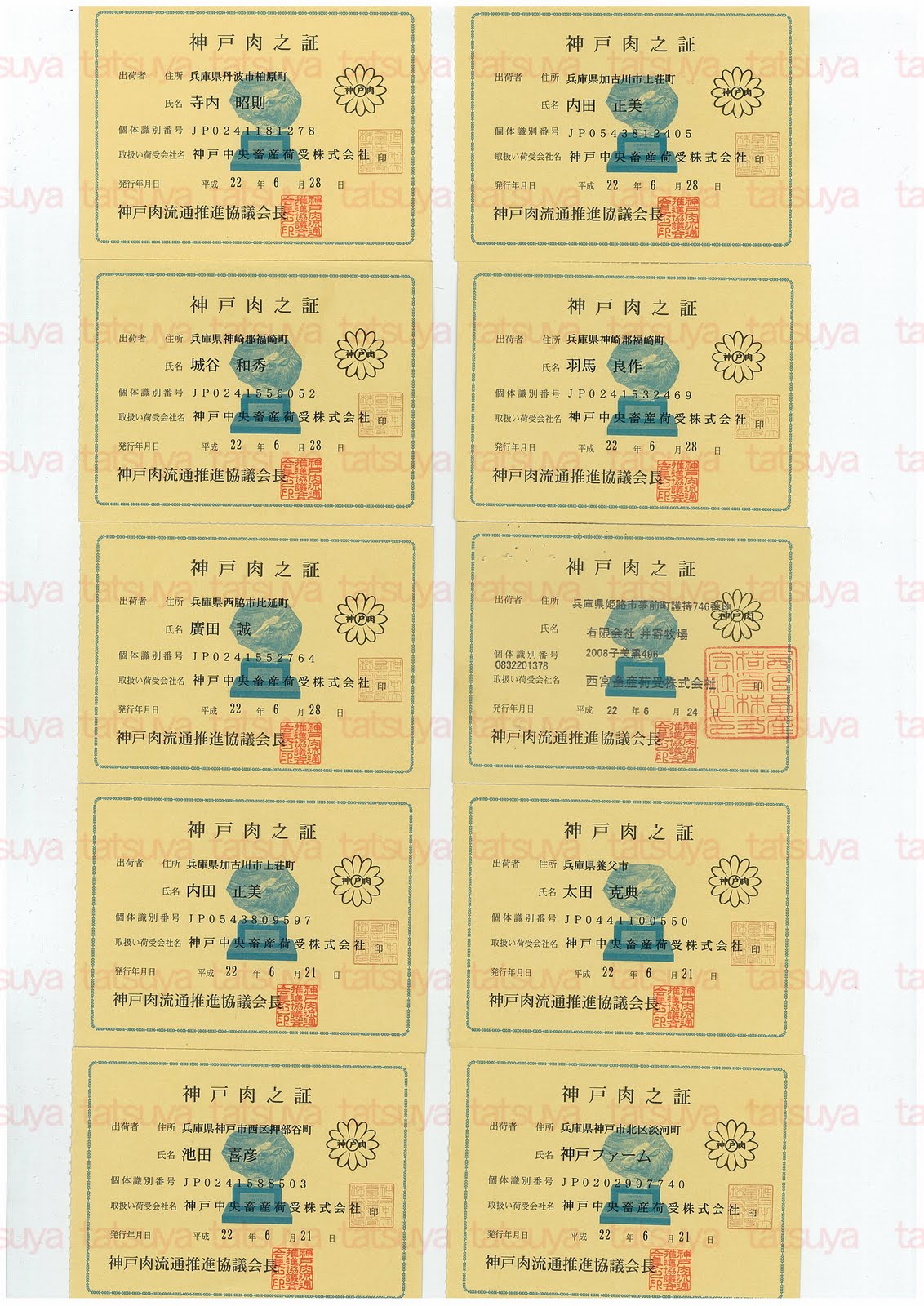 [LOT-10070901-#1.jpg]