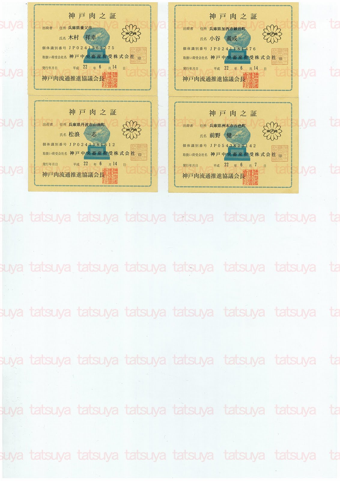 [LOT-10070901-#2.jpg]