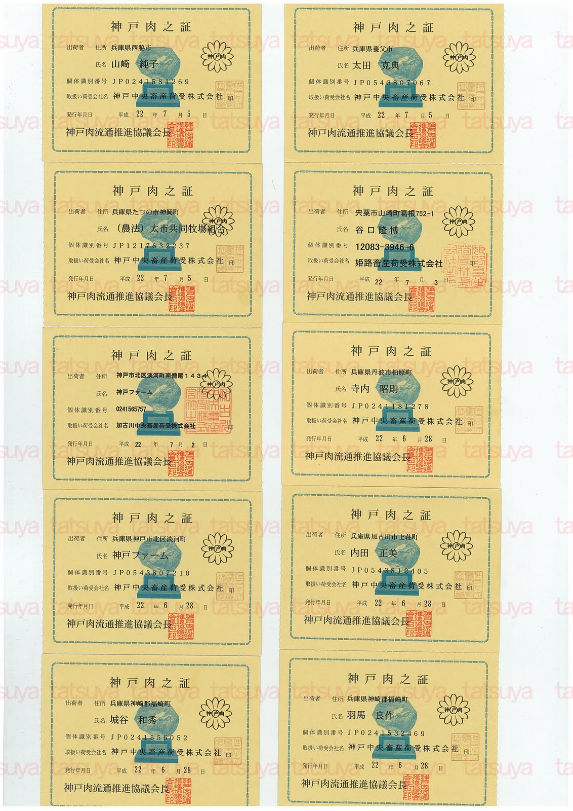 [LOT-10071501-#1.jpg]