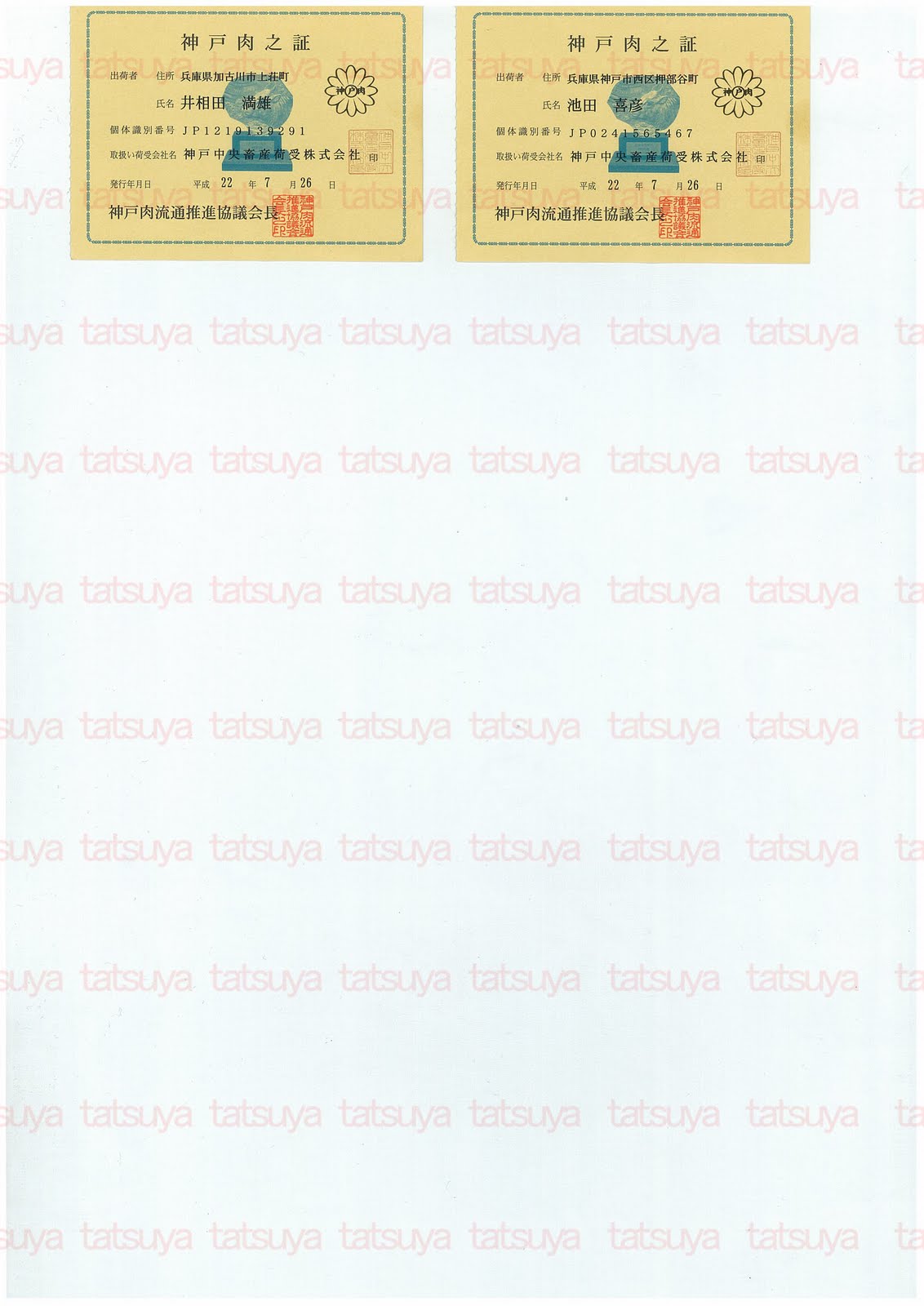 [LOT-10082301-#2.jpg]