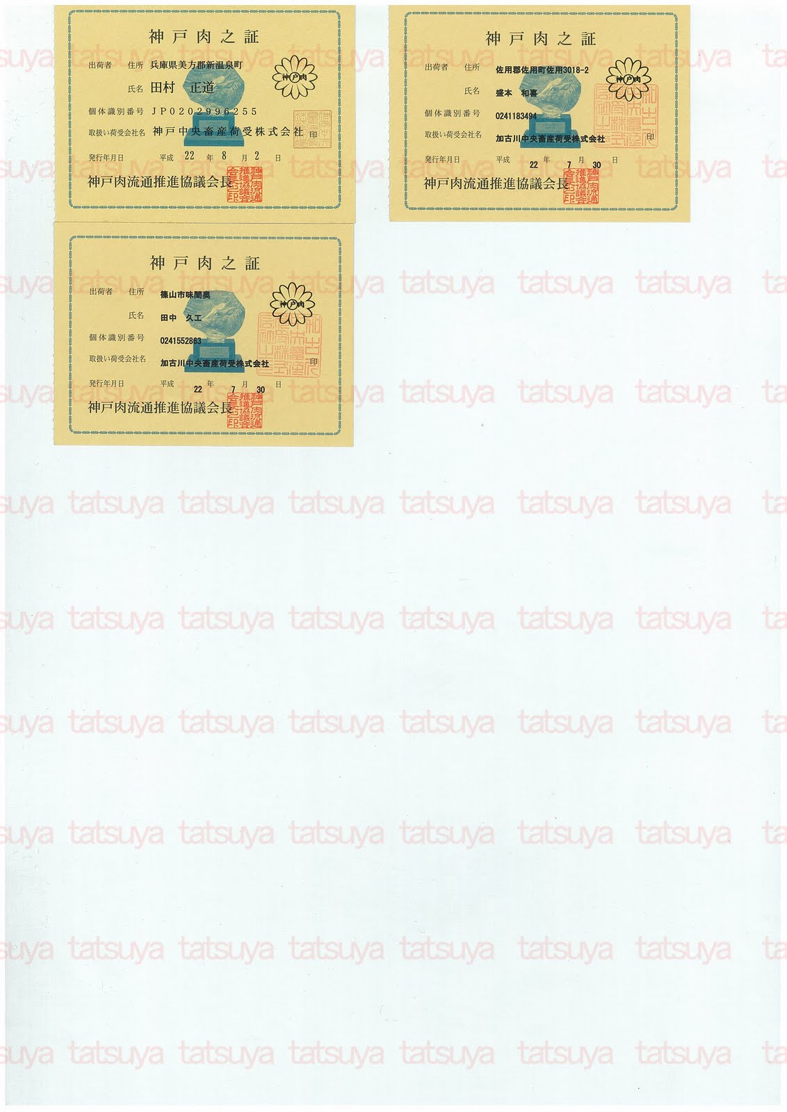 [LOT-10090301-#2.jpg]