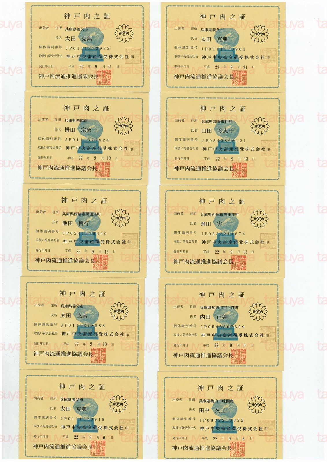 [LOT-10092701-#1.jpg]