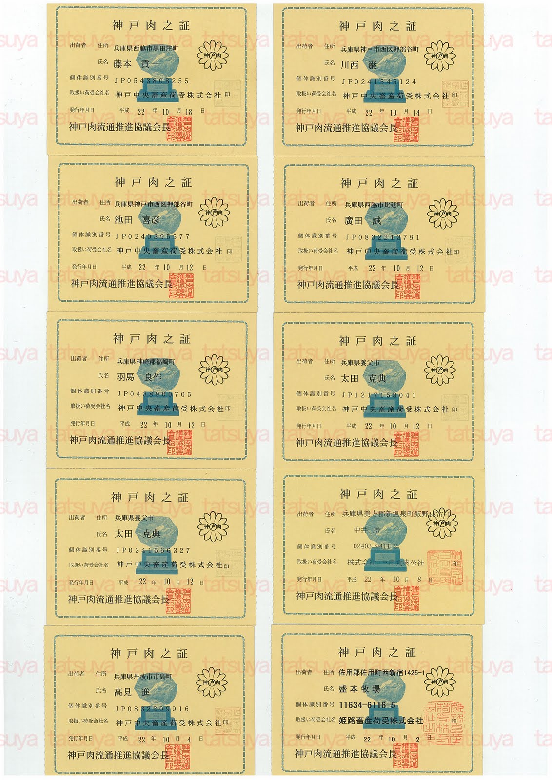 [LOT-10102501-#1.jpg]