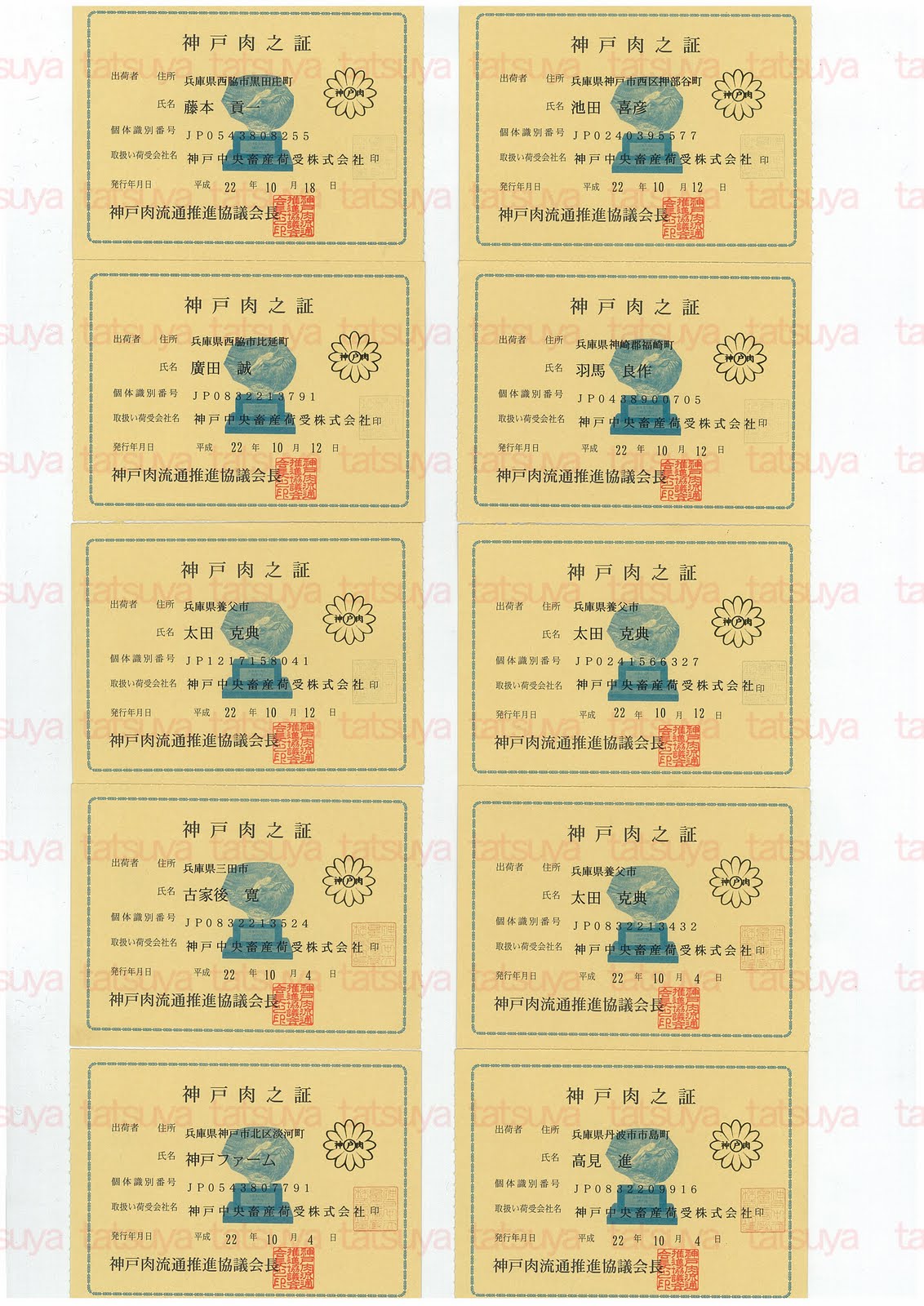 [LOT-10102301-#1.jpg]