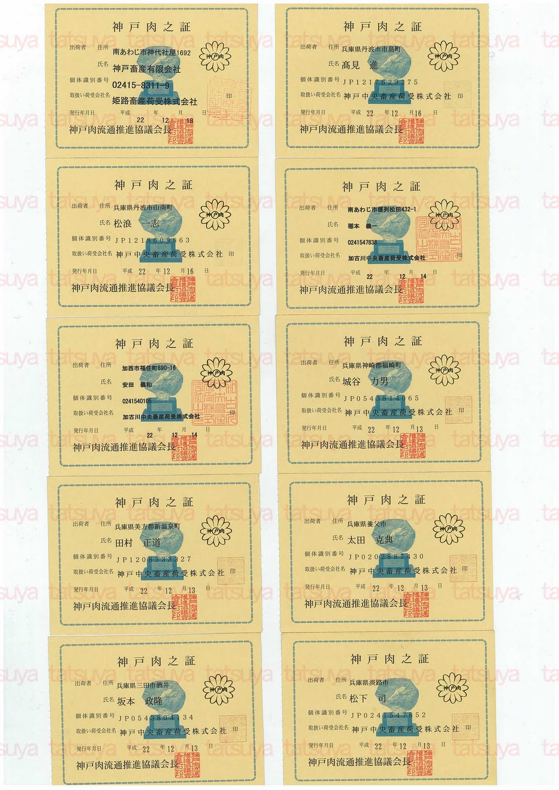 [LOT-10123001-#2.jpg]