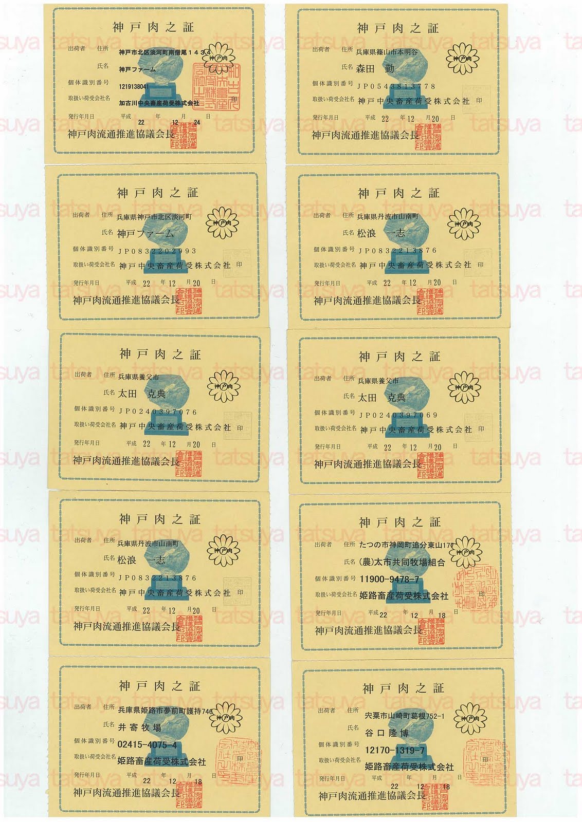 [LOT-10123001-#1.jpg]