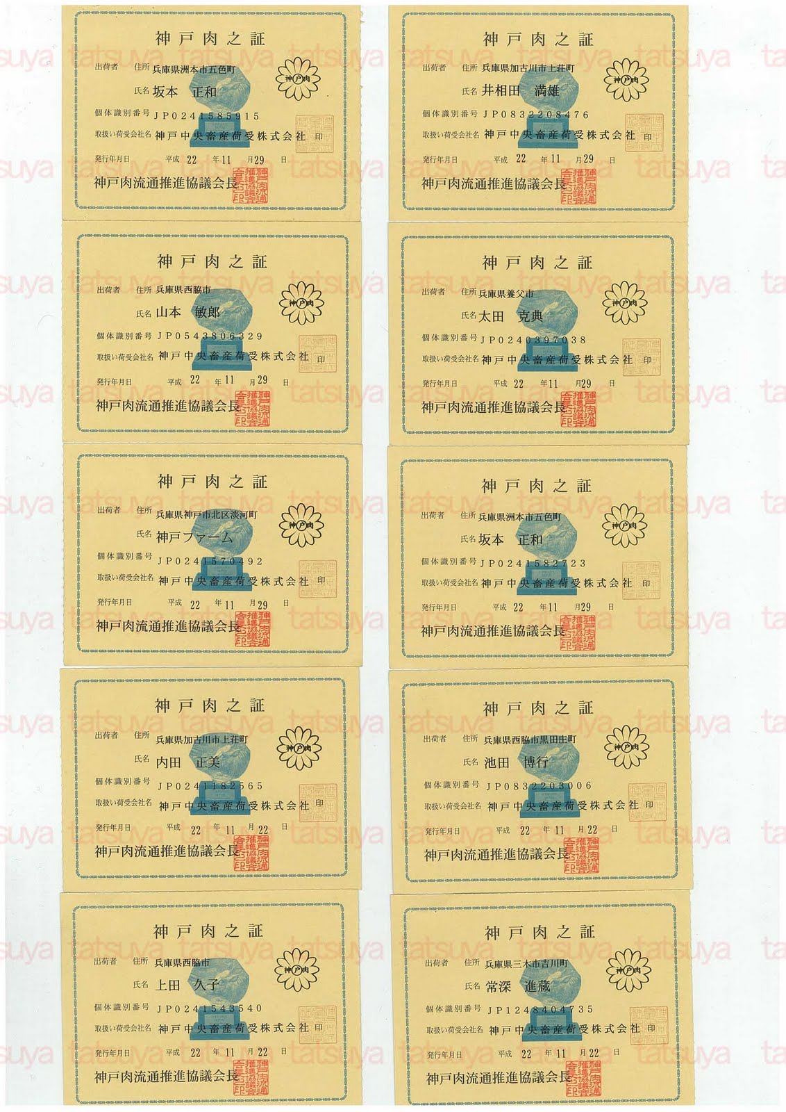 [LOT-10122501-#3.jpg]