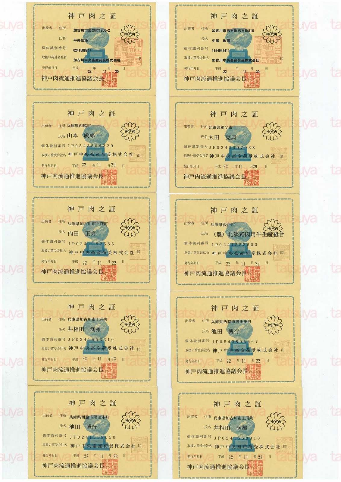 [LOT-10122701-#5.jpg]