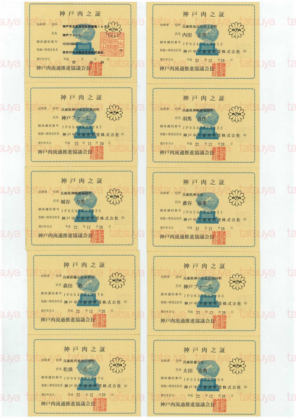 [LOT-11011501-#1.jpg]