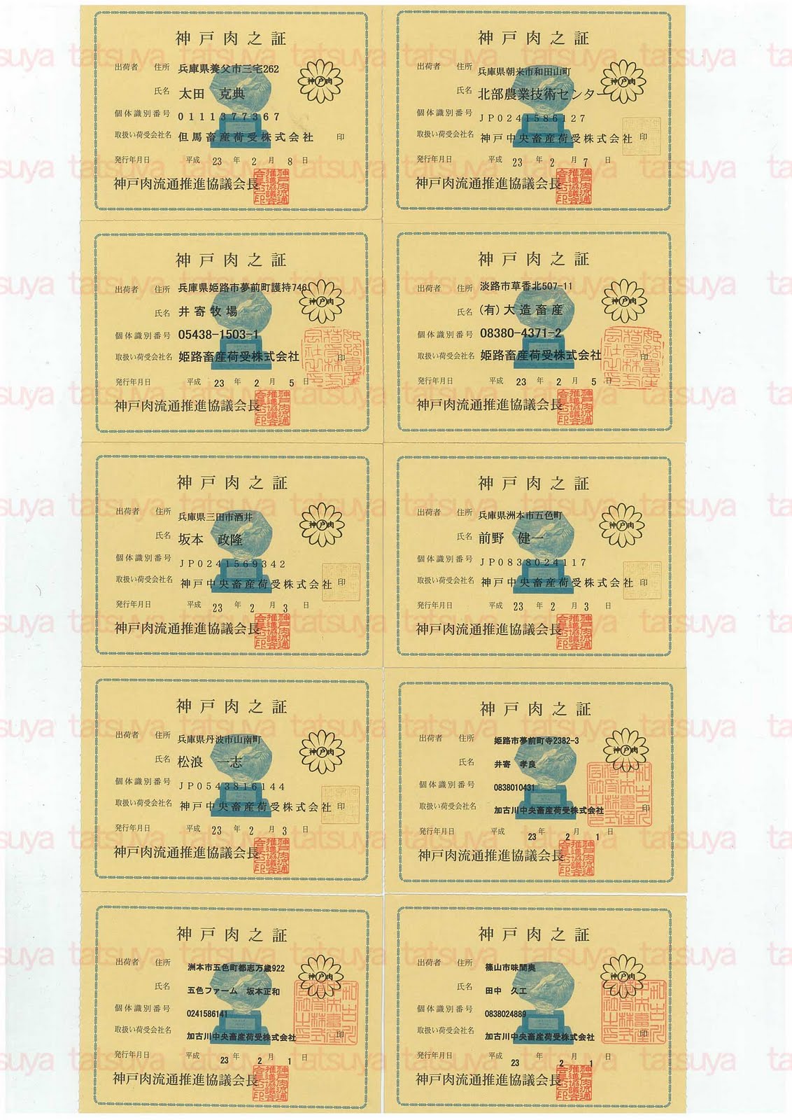 [LOT-11021401-#1.jpg]