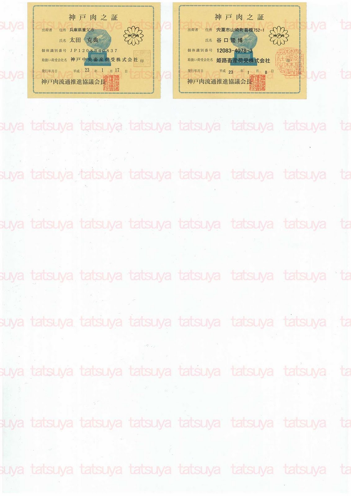 [LOT-11022201-#2.jpg]