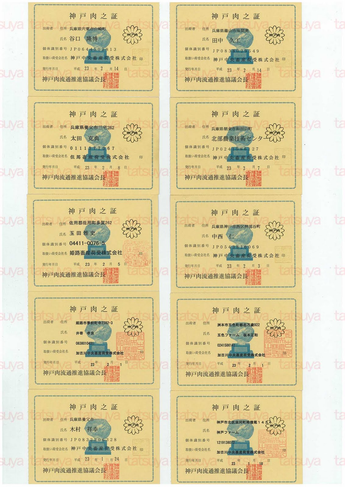 [LOT-11022201-#1.jpg]