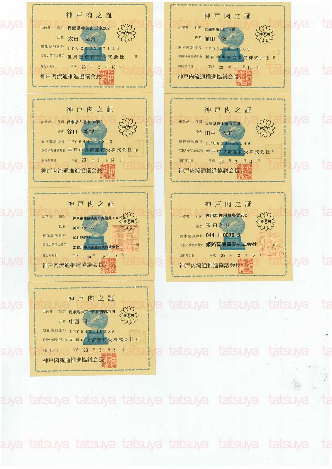 [LOT-11030801-#2.jpg]