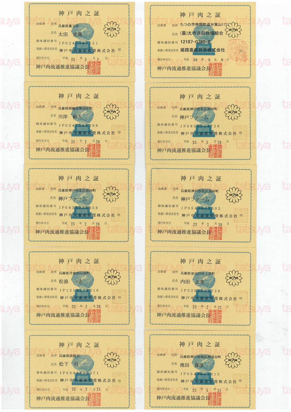 [LOT-11031401-#1.jpg]