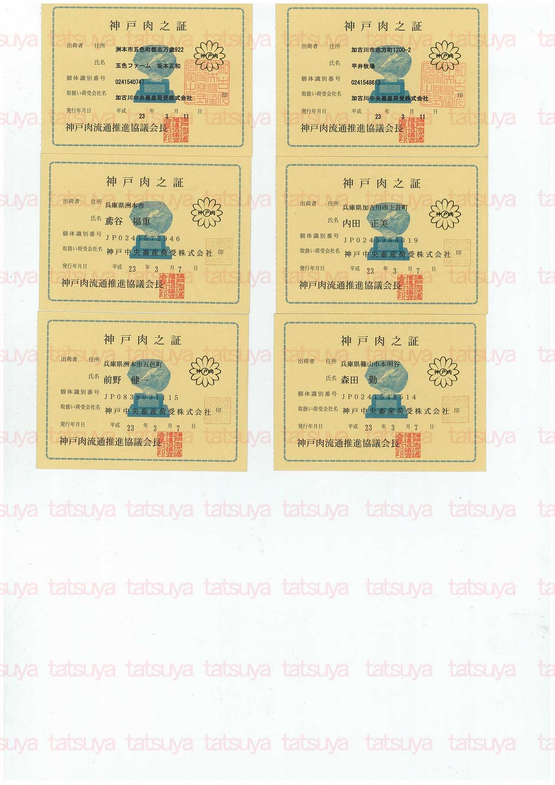 [LOT-11040401-#2.jpg]