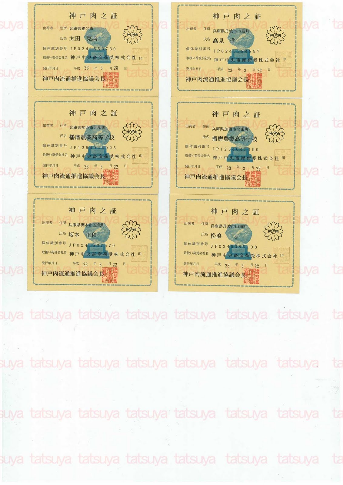 [LOT-11042301-#2.jpg]