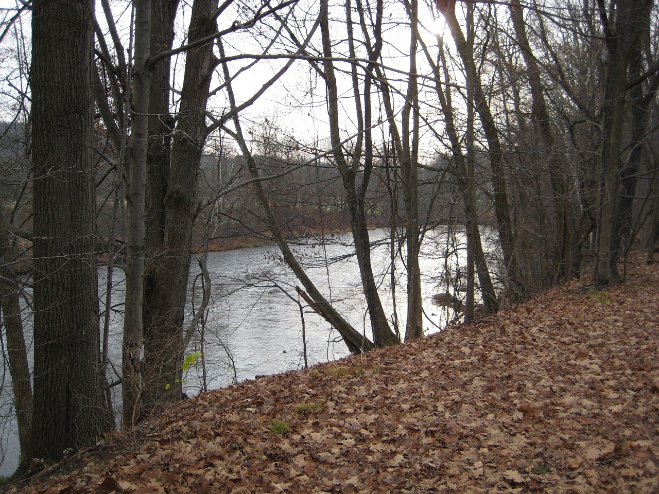 [river3[3].jpg]
