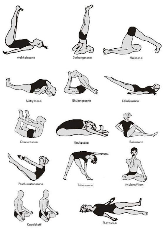 Guide to Excellent Health and Fitness | Complete Free Online Health Guide | Exercise Fitness Yoga Gym Calorie Chart and Stress Management