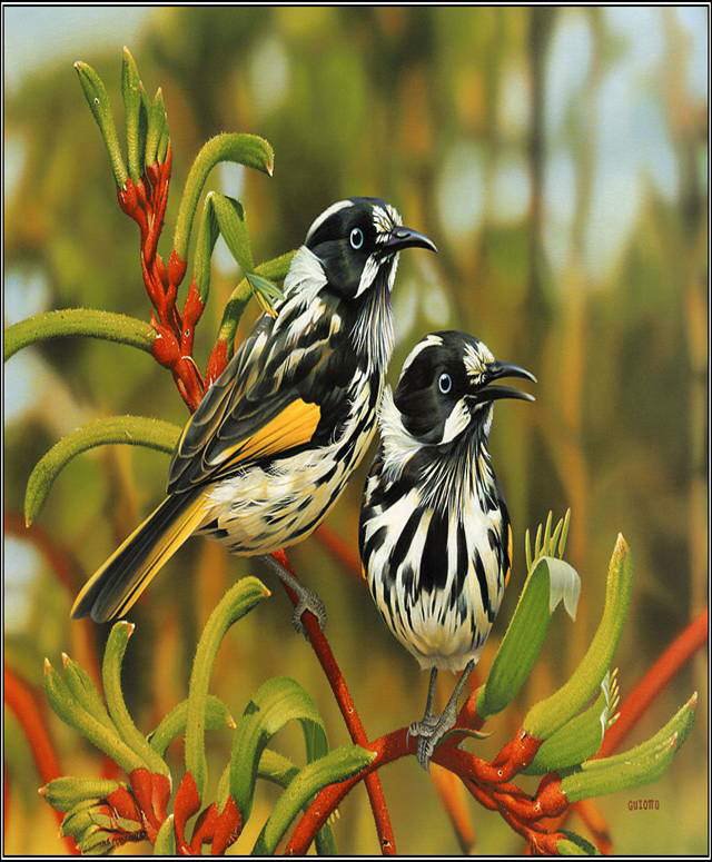 Wonderful Animals'/Birds' Shots