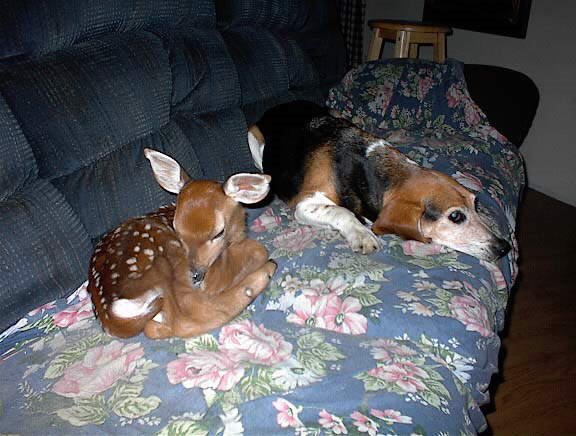 UNUSUAL FRIENDS