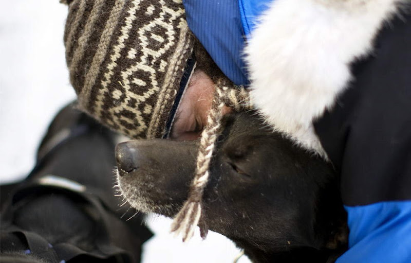 Dog sled photos from several races (Yukon Quest Race, Cam-Am Crown Race) in the Northern Hemisphere (Alaska)