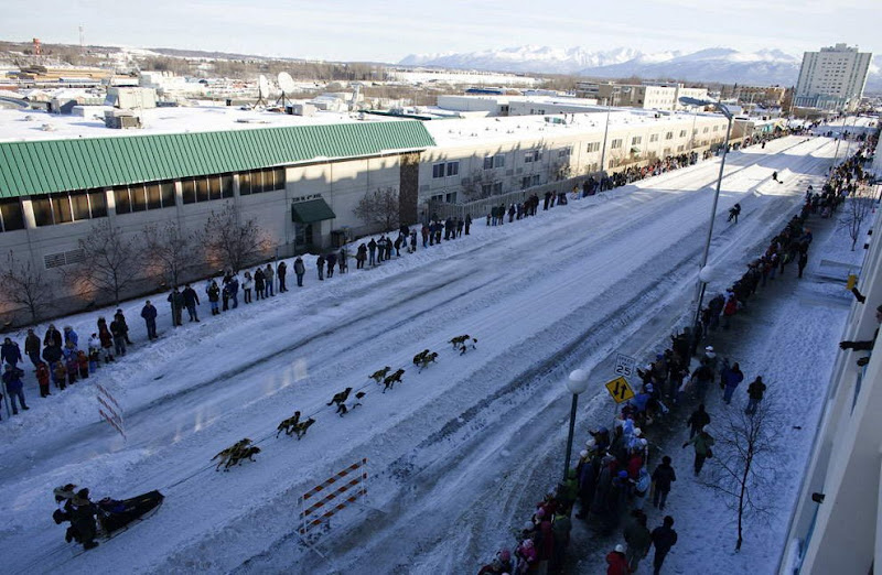 Dog sled photos from several races (Yukon Quest Race, Cam-Am Crown Race) in the Northern Hemisphere (Alaska)