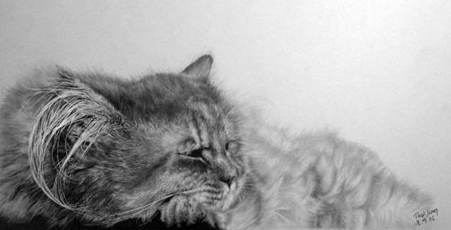 Image Dimension: 640x327 Unbelievable Pencil Drawings by Paul Lung