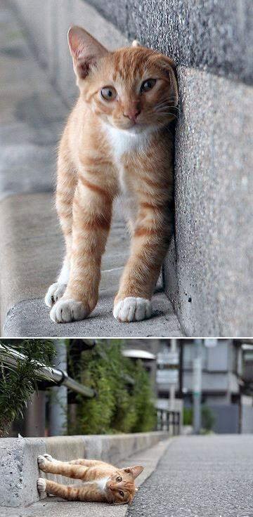 Really Cool Assorted Photos