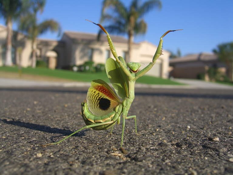 Really Cool Assorted Photos