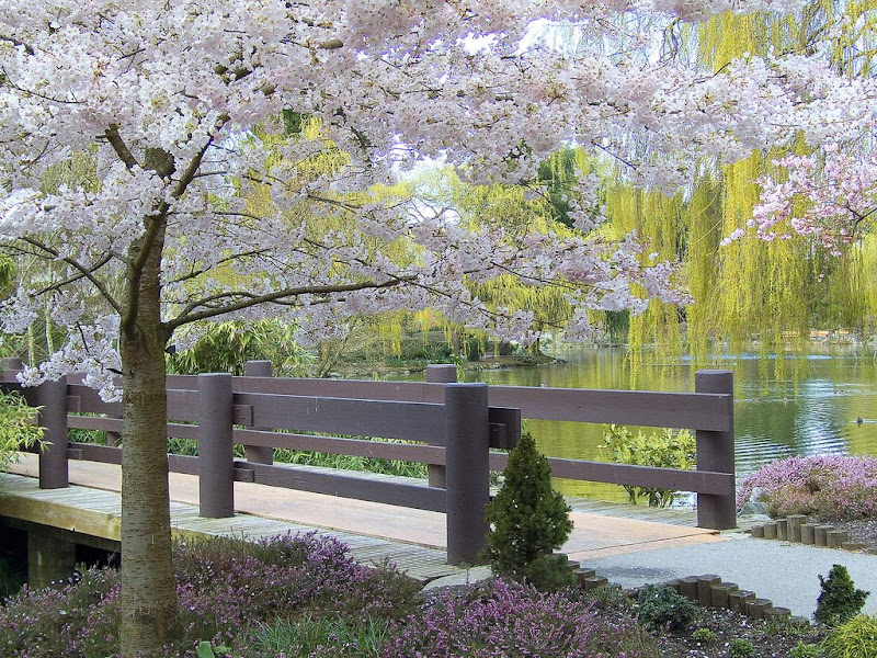 Glorious Spring ....