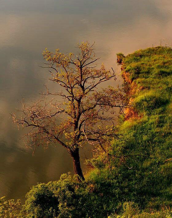 Lovely nature pics to soothe your eyes