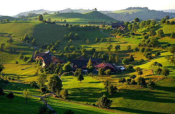 Lovely nature pics to soothe your eyes