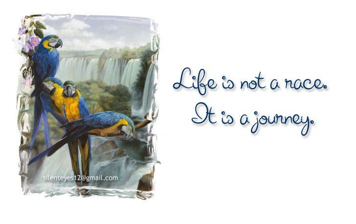 Nice Wordings on Life, Living and Loving