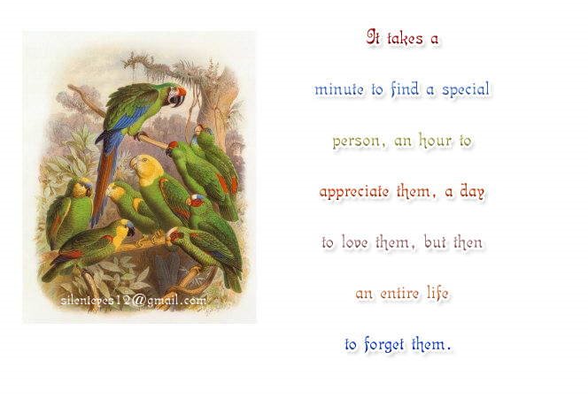 Nice Wordings on Life, Living and Loving