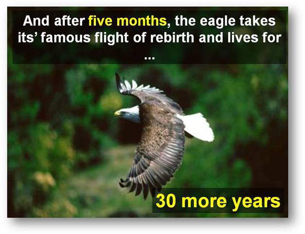 Change... The Ultimate Truth of Life - Eagle Story