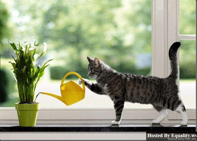 Unusual Photography