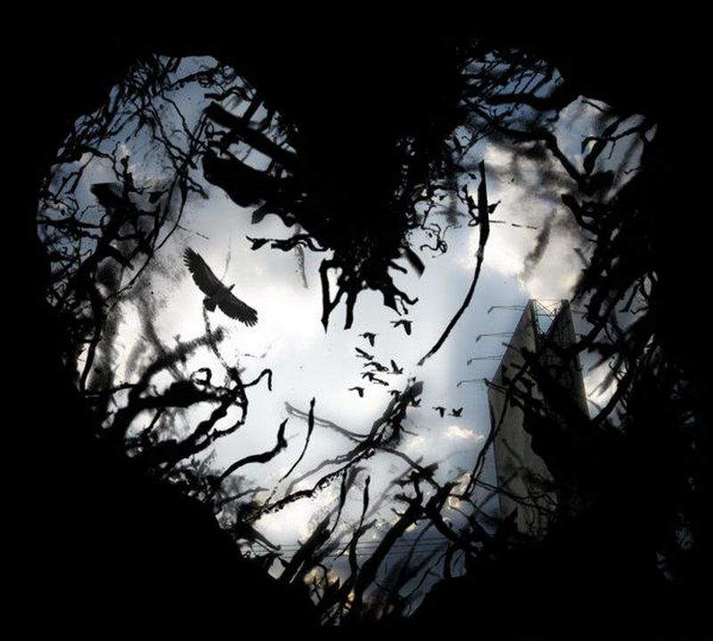 ~*~ Hearts ~*~ Photos for Lovers ~*~