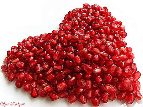 Lovely Hearts [Photo Collection]