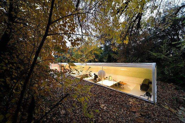 Beautiful Office in Madrid Jungle designed by Spanish architecture firm Selgas Cano