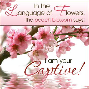 Express your Love...