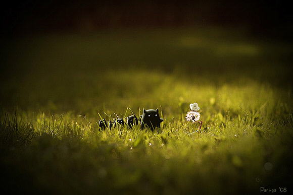 How were these photographs made? Collection of pics that blur reality and imagination