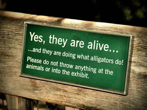 Funny Zoo Signs