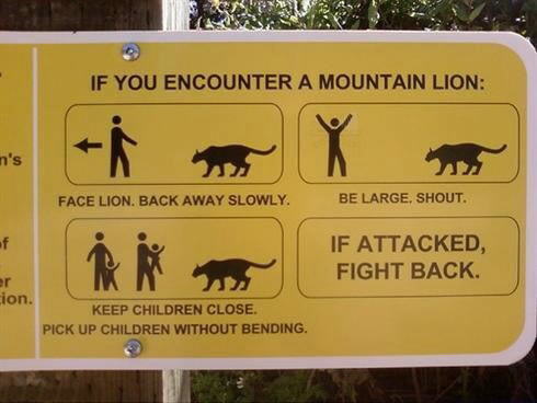 Funny Zoo Signs