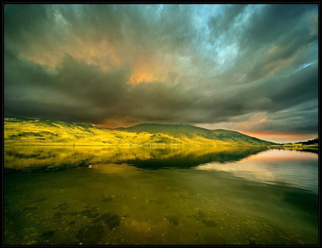 Color of Nature: Shades of Light