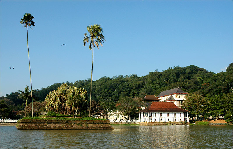 Image Dimension: 800x514 :: Beauty of Srilanka - Paradise on Earth Beauty of Srilanka - Paradise on Earth